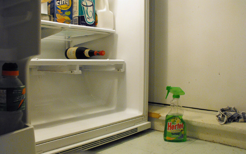 Clean fridge